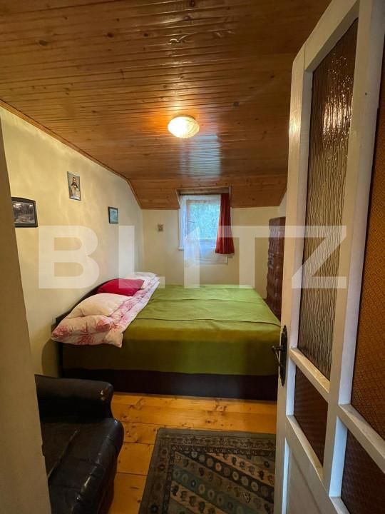 Casa de vânzare 5 camere Intregalde - 162950CV | BLITZ Alba Iulia | Poza11