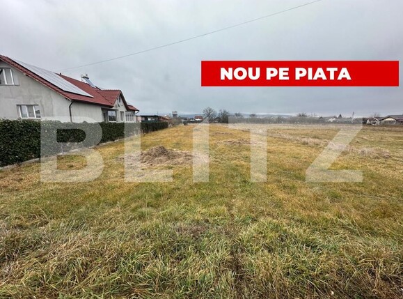 Teren de vânzare Teius - 162965TV | BLITZ Alba Iulia | Poza1
