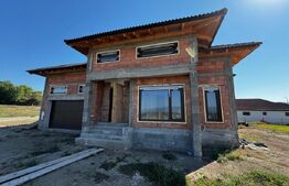 Vilă deosebită, 710mp teren, zona Ciugud - Alba