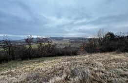 Teren extravilan 4300 mp, zona Criseni - Paclisa