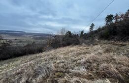 Teren extravilan 4300 mp, zona Criseni - Paclisa