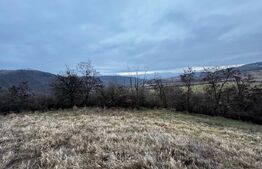 Teren extravilan 4300 mp, zona Criseni - Paclisa