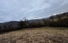 Teren extravilan 4300 mp, zona Criseni - Paclisa