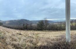 Teren extravilan 4300 mp, zona Criseni - Paclisa