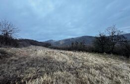 Teren extravilan 4300 mp, zona Criseni - Paclisa