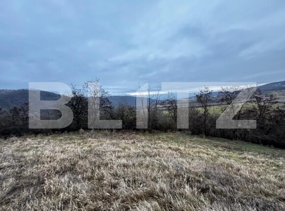 Teren de vânzare Vinţu de Jos - 163023TV | BLITZ Alba Iulia | Poza1