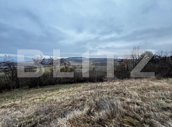 Teren de vânzare Vinţu de Jos - 163023TV | BLITZ Alba Iulia | Poza5