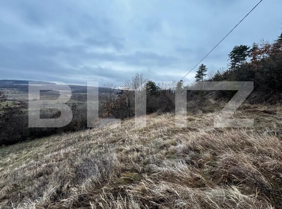 Teren de vânzare Vinţu de Jos - 163023TV | BLITZ Alba Iulia | Poza6