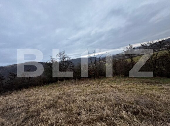 Teren de vânzare Vinţu de Jos - 163023TV | BLITZ Alba Iulia | Poza4