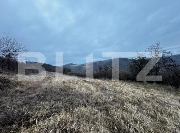 Teren de vânzare Vinţu de Jos - 163023TV | BLITZ Alba Iulia | Poza2