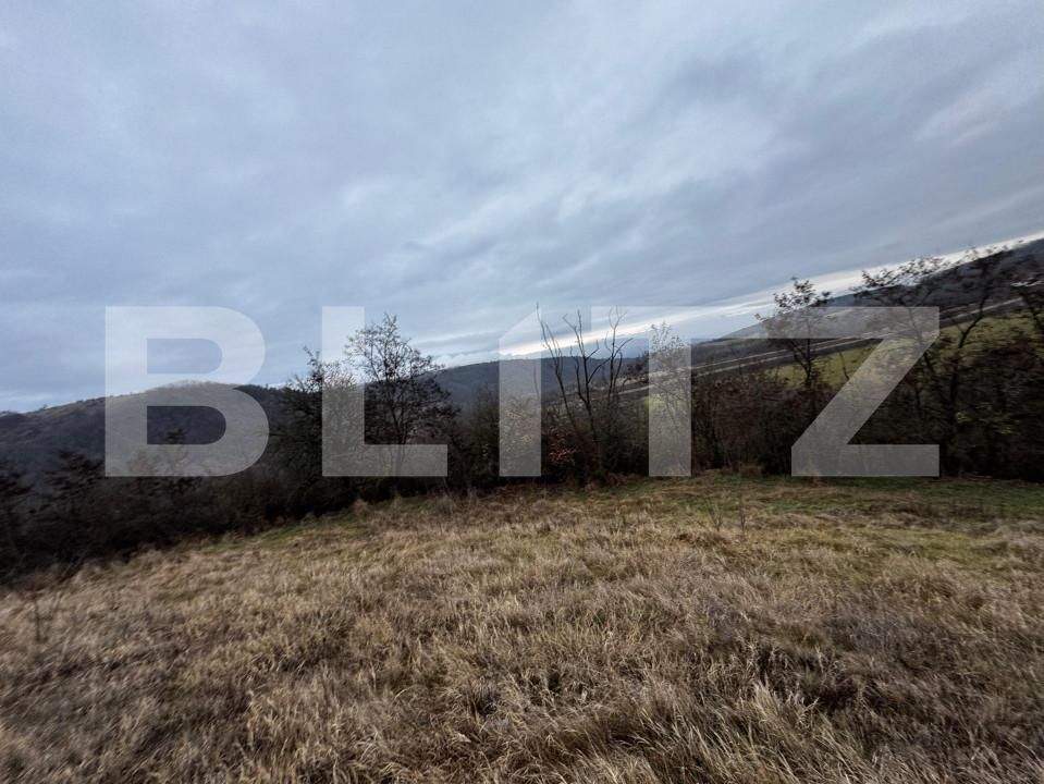 Teren de vânzare Vinţu de Jos - 163023TV | BLITZ Alba Iulia | Poza4