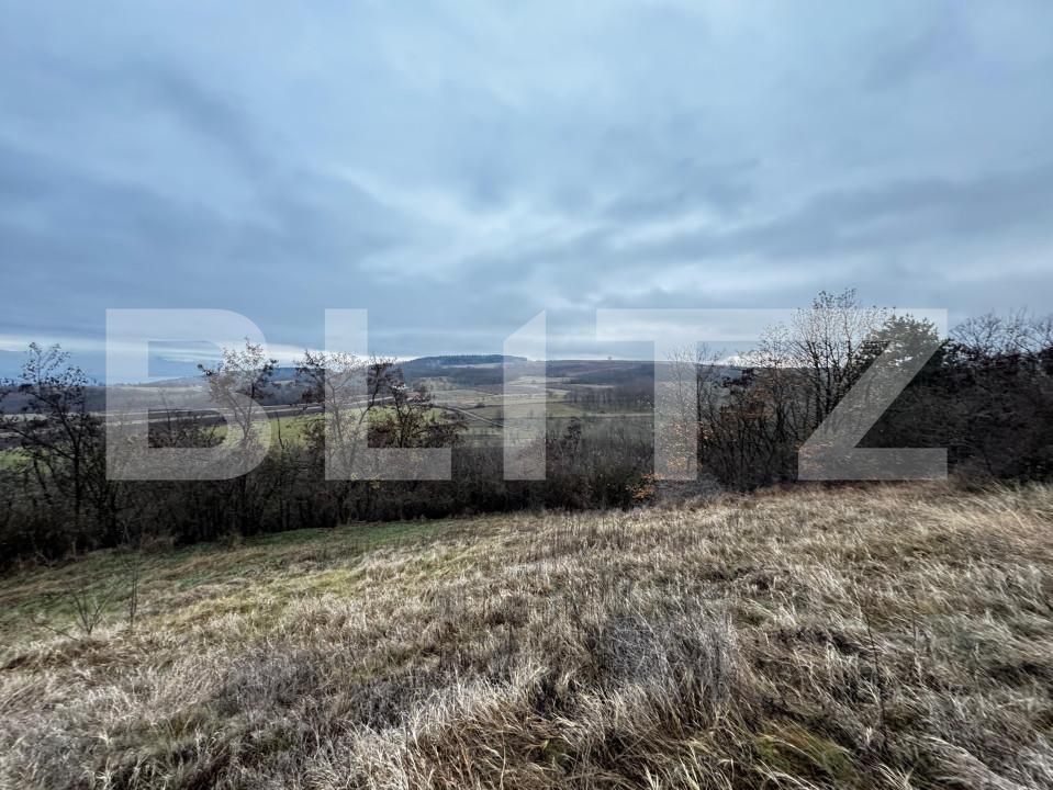 Teren de vânzare Vinţu de Jos - 163023TV | BLITZ Alba Iulia | Poza5