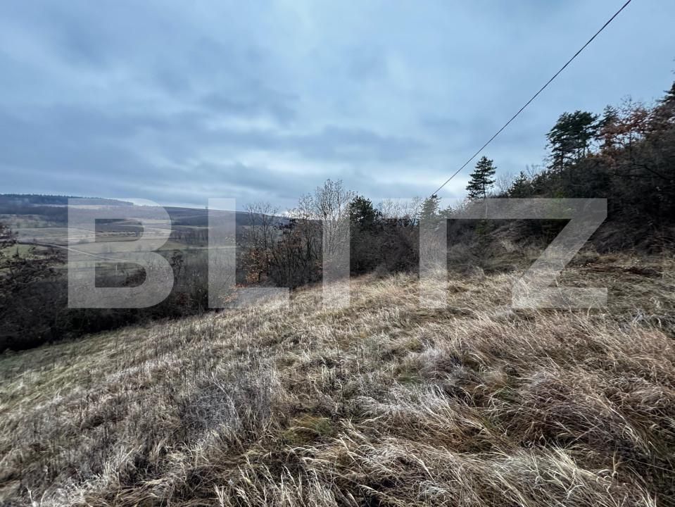 Teren de vânzare Vinţu de Jos - 163023TV | BLITZ Alba Iulia | Poza6