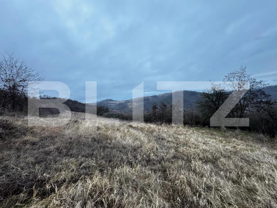 Teren de vânzare Vinţu de Jos - 163023TV | BLITZ Alba Iulia | Poza2