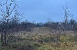 Casă de vânzare 120mp utili cu 3 camere (STREMT), 1 baie, 2 holuri, grădină.