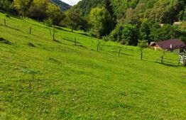 Teren 1200mp, zona Valea Tonii