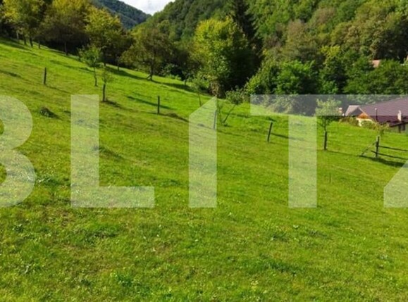 Teren de vânzare Sebeș - 163072TV | BLITZ Alba Iulia | Poza1