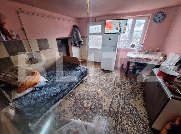 Casa de vânzare 2 camere Cugir - 163120CV | BLITZ Alba Iulia | Poza1
