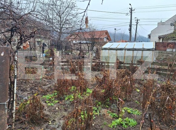 Casa de vânzare 2 camere Cugir - 163120CV | BLITZ Alba Iulia | Poza9