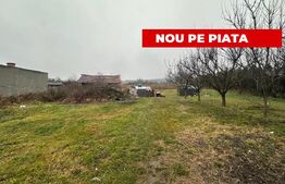 Teren intravilan de vânzare Teiuș 5050mp.