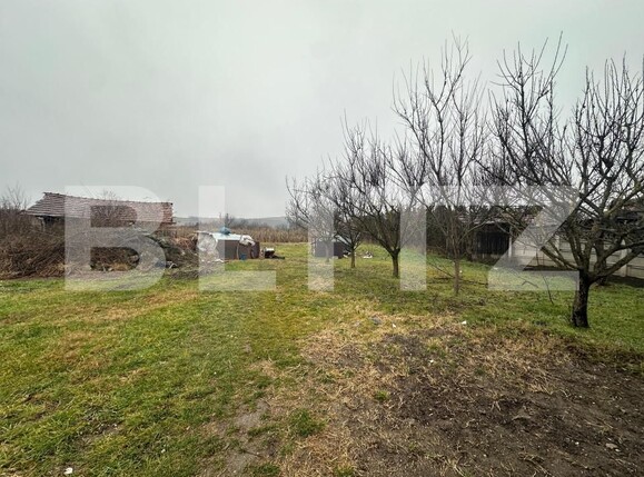 Teren de vânzare Teius - 163138TV | BLITZ Alba Iulia | Poza2