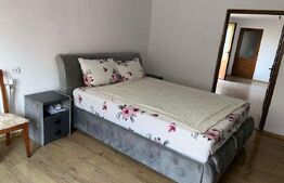 Casă cu 3 camere, 1 bucătărie, 1 baie, 1 pivniță, grădină Teius.