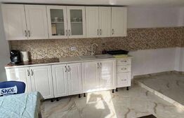 Casă cu 3 camere, 1 bucătărie, 1 baie, 1 pivniță, grădină Teius.