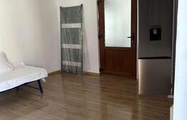 Casă cu 3 camere, 1 bucătărie, 1 baie, 1 pivniță, grădină Teius.