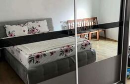 Casă cu 3 camere, 1 bucătărie, 1 baie, 1 pivniță, grădină Teius.