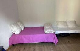 Casă cu 3 camere, 1 bucătărie, 1 baie, 1 pivniță, grădină Teius.