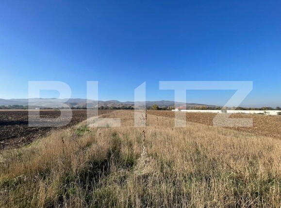 Teren de vânzare Sud-Vest - 163195TV | BLITZ Alba Iulia | Poza2