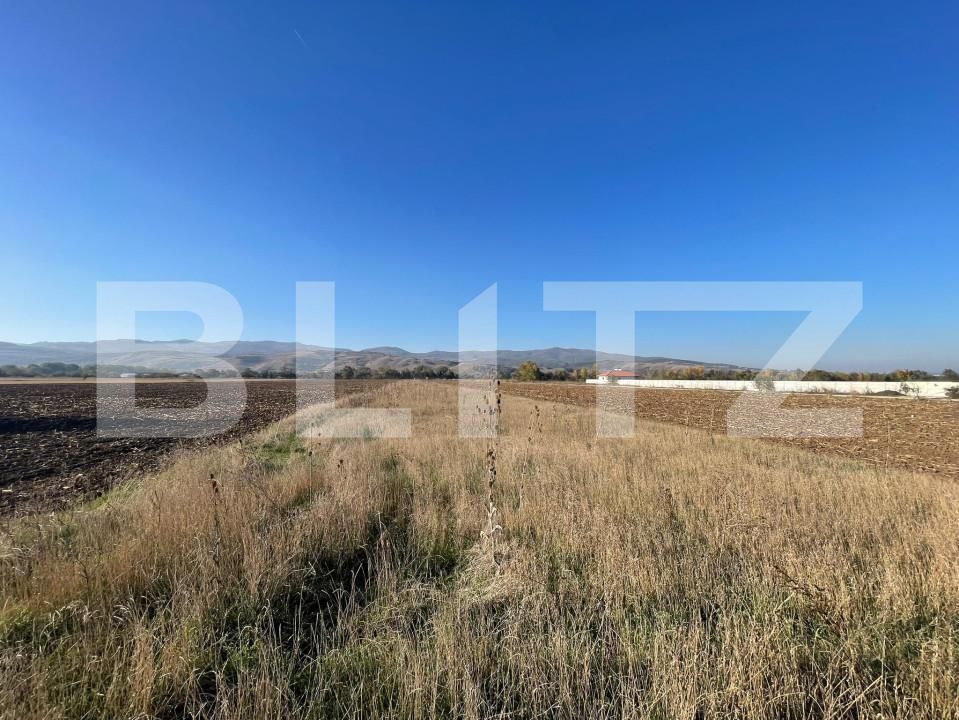 Teren de vânzare Sud-Vest - 163195TV | BLITZ Alba Iulia | Poza2