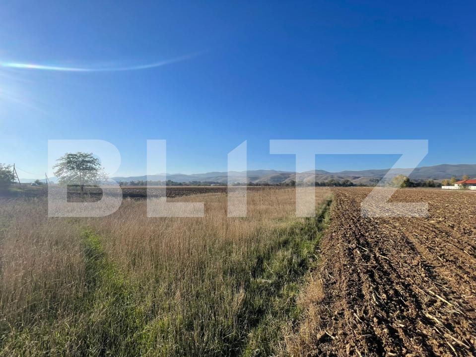 Teren de vânzare Sud-Vest - 163195TV | BLITZ Alba Iulia | Poza1