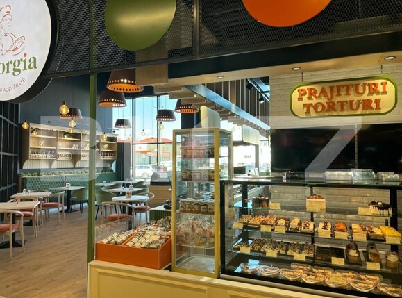 Spațiu comercial de vânzare Ampoi 2 - 163300SVC | BLITZ Alba Iulia | Poza5