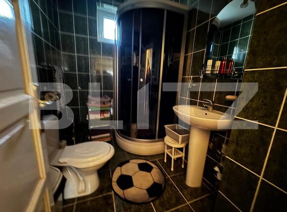 Casa de vânzare 5 camere Sebeș - 163407CV | BLITZ Alba Iulia | Poza9