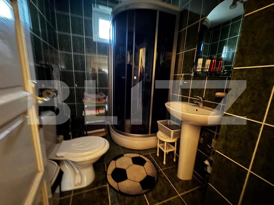 Casa de vânzare 5 camere Sebeș - 163407CV | BLITZ Alba Iulia | Poza9