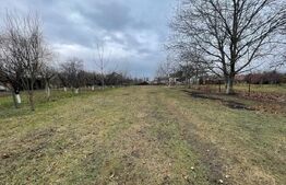 Teren Intravilan in Sebes Central, 1000 mp