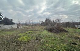 Casă cu anexă 7 camere (Teiuș), 1 bucutarie, 1 baie, 1 living, gradina.