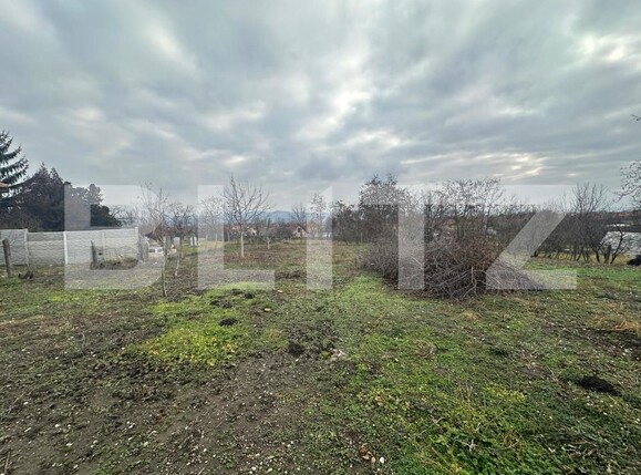 Casa de vânzare 7 camere Teius - 163444CV | BLITZ Alba Iulia | Poza3