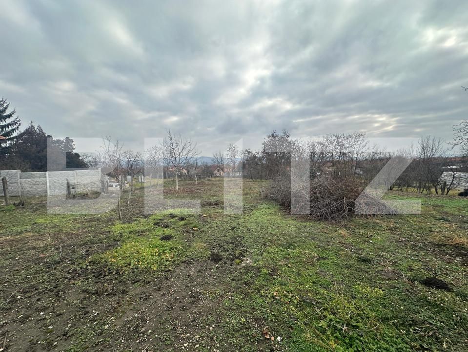 Casa de vânzare 7 camere Teius - 163444CV | BLITZ Alba Iulia | Poza3