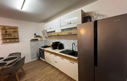 Apartament de vanzare 2 camere, bloc nou, zona Cetate