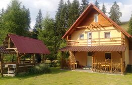 Pensiune doua Corpuri  12 camere 7 bai teren 1400 Zona Arieseni