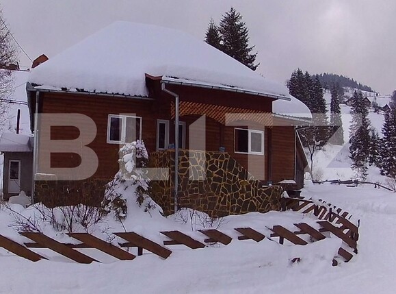 Spațiu comercial de vânzare Arieseni - 163500SVC | BLITZ Alba Iulia | Poza2