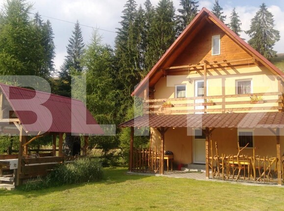 Spațiu comercial de vânzare Arieseni - 163500SVC | BLITZ Alba Iulia | Poza1