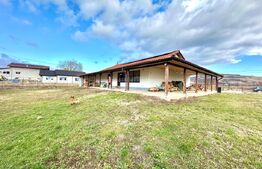 Casa individuala cu terasa si garaj,teren 1750 mp-Sard