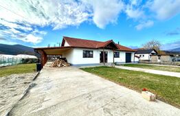 Casa individuala cu terasa si garaj,teren 1750 mp-Sard