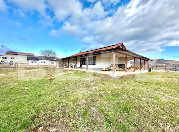 Casa de vânzare 4 camere Sard - 163584CV | BLITZ Alba Iulia | Poza5