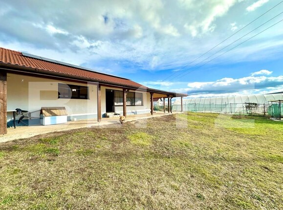 Casa de vânzare 4 camere Sard - 163584CV | BLITZ Alba Iulia | Poza12