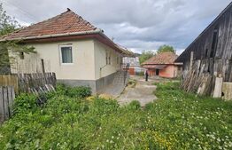 Casă 3 camere, teren 4.313mp, Patrangeni - Alba