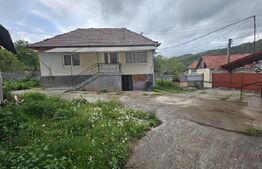 Casă 3 camere, teren 4.313mp, Patrangeni - Alba